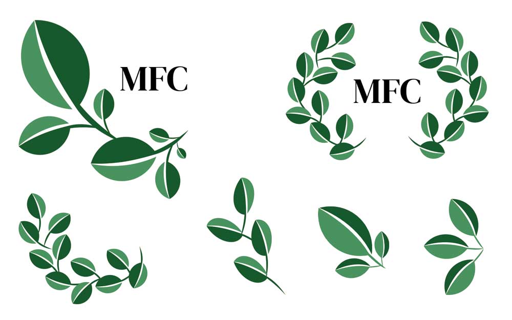 leaf logo design exploration